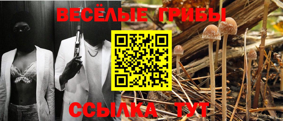 Норильск  Псилоцибиновые грибы MAGIC MUSHROOMS  Вход с VPN 